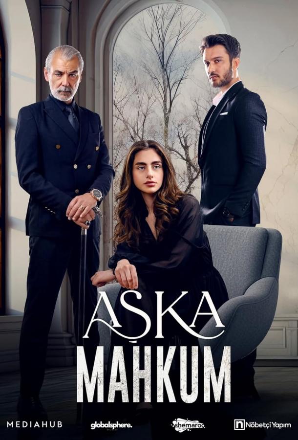 Заключенный любви